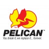 Pelican